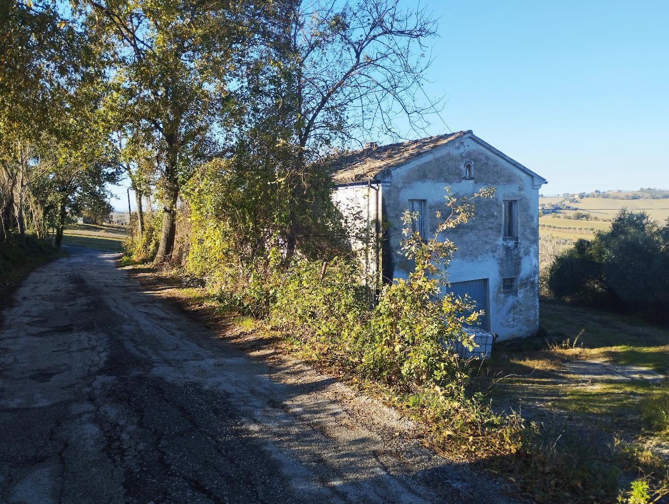 RMCCA82 - CASALE - VENDITA - MORRO D'ALBA - € 90000