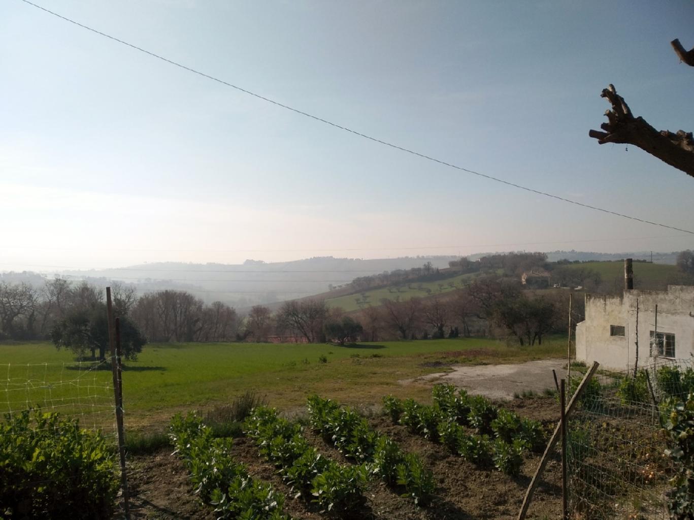RMCCA85 - TERRENO - VENDITA - SENIGALLIA - € 75000