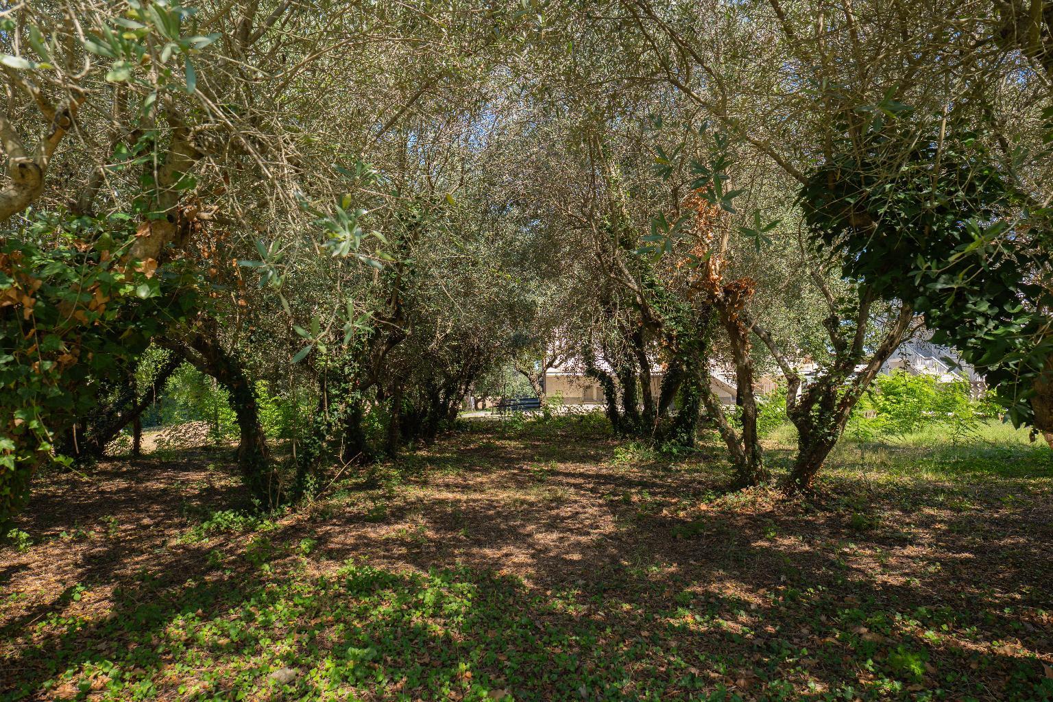 RMLG03 CASA INDIPENDENTE<br/>VENDITA<br/>MONTE PORZIO<br/>€ 195000