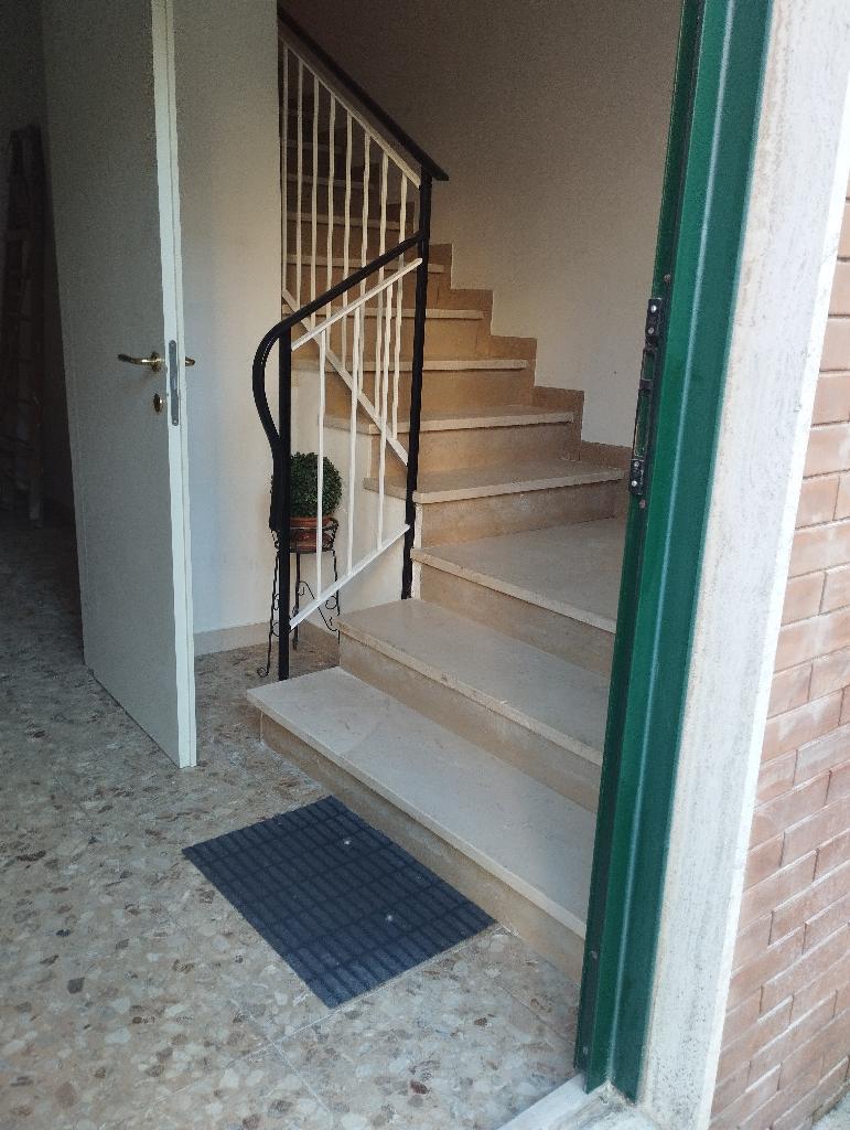 RMPAP14 - APPARTAMENTO - AFFITTO - SENIGALLIA - € 950