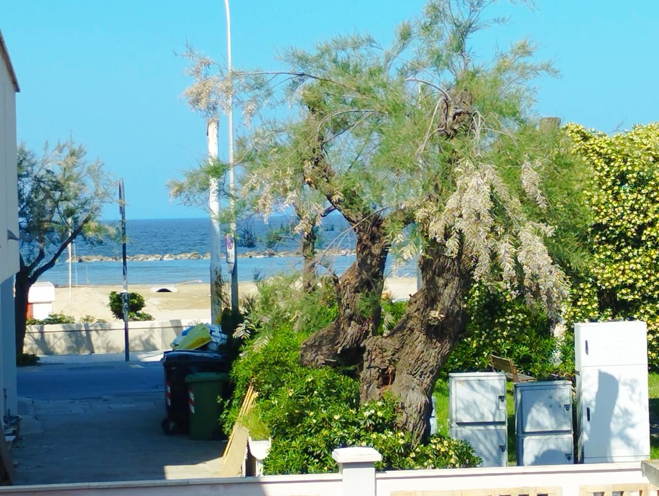 RMTC01 - APPARTAMENTO - VENDITA - SENIGALLIA - € 360000